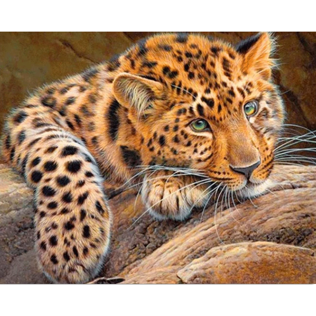 Diamond Painting Leinwand Leopard - 30 x 40 cm