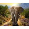 Diamond Painting Leinwand Elefant - 30 x 40 cm