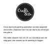 Diamant Peinture Chiot et Chaton - 30 x 40 cm