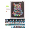 Diamond Painting Leinwand Limitierte Edition - Regenbogen Katze