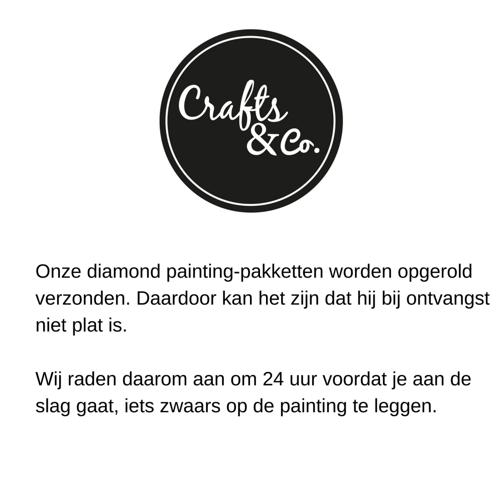 Diamond Painting Canvas Zwarte Kat - 40 x 50 cm - 7